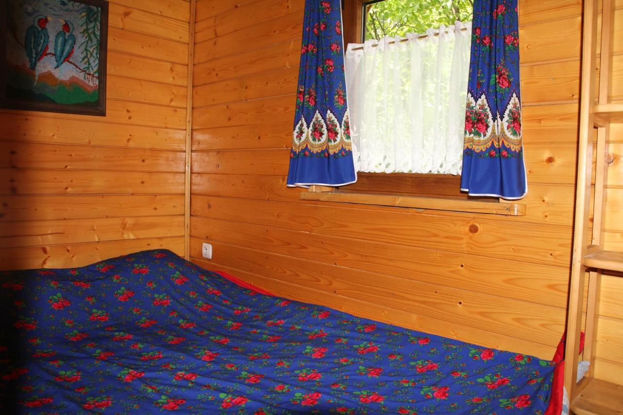 Domek Pod Zielonym Lasem Zakopane Exterior foto